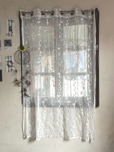 Sheer Floral Curtains