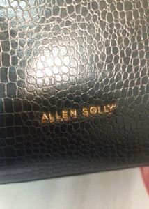 Allen Solly Black Purse