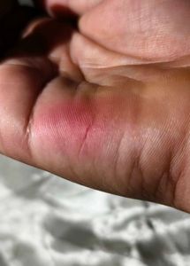 N. KOREAN BLUSH AT THE LOWEST