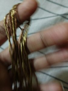 Payal