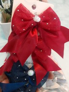Coloured Hair Clips