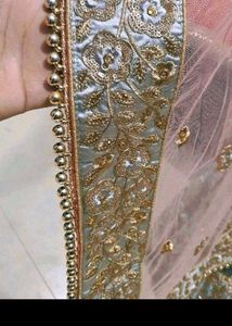 Gorgeous Lehenga Choli