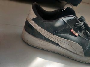 PUMA SHOES 1 TIME USED