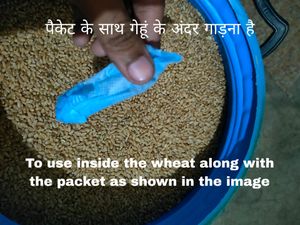 4 Injections to protect Grain/wheat from insects