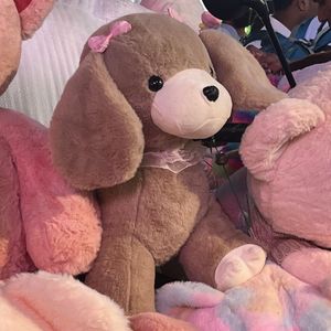 Dog Plush Toy