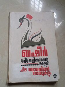 Fiction Novel