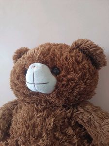 Teddy &amp; Doremon