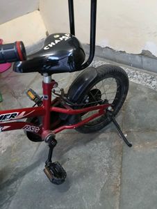 BSA Roamer Kids Bicycle