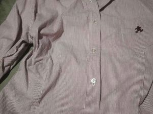 Striped White &amp;Pink Fitted Shirt