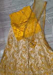Embroidered Lehenga