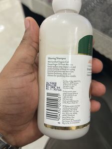 Biotique Argan Oil Shampoo
