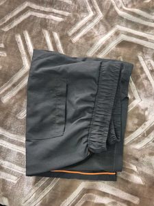 olive Grey Casual Shorts