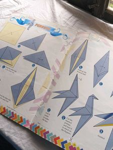 Origami Book For Beginners