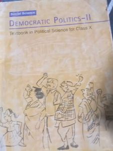 Democratic Politics Textbook,understanding economi