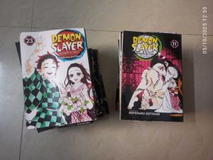 Demon Slayer Manga Set