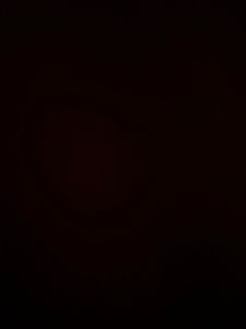 Sparkly Knit Cardigan