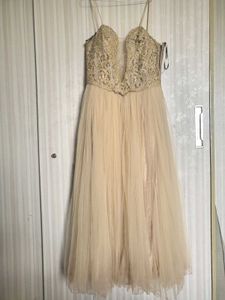 Elegant Ethnic Gown