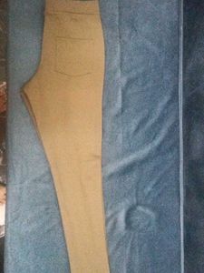 Neutral Tan Casual Pants