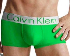 Calvin Klein Green Briefs