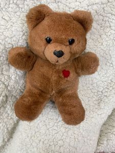 Cute Fluffy Teddy Bear 🧸