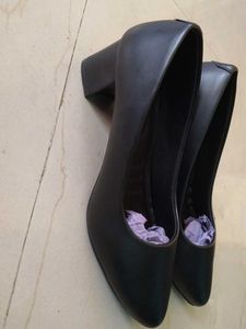 COLO Black Pointed Bellies