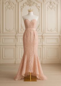 Blush Lace Mermaid Gown