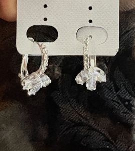 Sparkling Silver Earrings