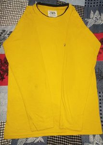 T-Shirt For Men (Zara)
