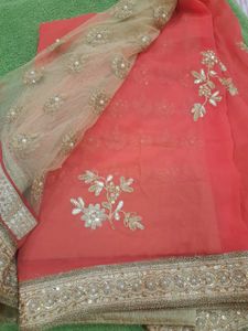 CORAL N GOLDEN NET SAREE