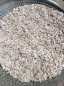Kharbuja Seeds