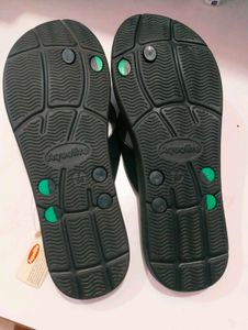 Aq B