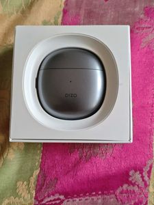 Dizo GoPods