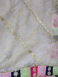 Bahut Hi Pyara Organza Dupatta Embroider