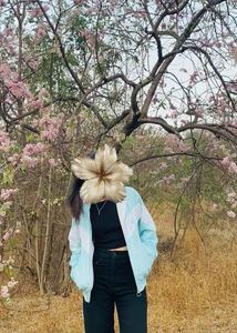 Nike Colorblock Windbreaker