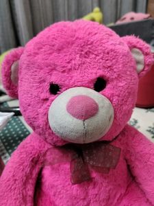 Pink Teddy Bear