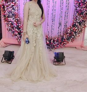 A Beautiful Ethnic Gown