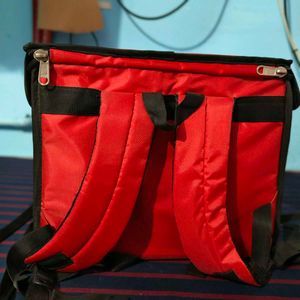 Zomato Delivery Bag