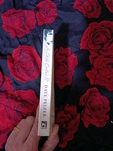 A Child Called &#34;It&#34; By Dave Pelzer