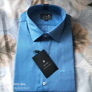 Turtle Blue Shirt