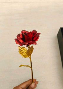 Rose Flower With Box