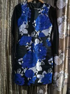 Bodycon Dress/Party