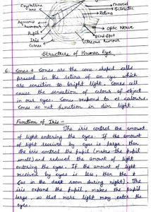Class 10 Physics Handwritten Notes NCERT CBSE
