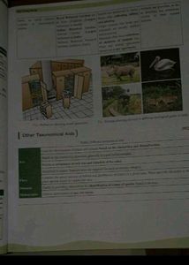 NCERT Punch Books Neet
