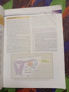Human Embryology Book