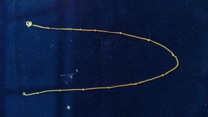 Gold Covering Chain