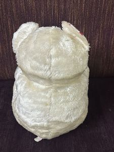 White Teddy Soft Toy