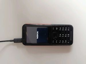 Nokia Feature Phone And Original Charger