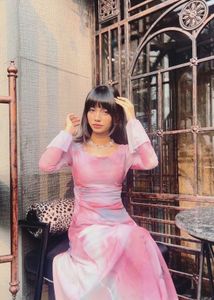 Savana Butterfly Print Mesh Dress