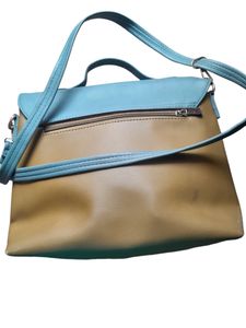 Baggit Bag