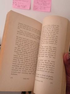 Ruskin Bond